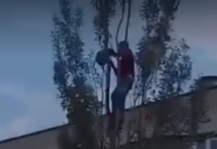 Поссорился с мамой: в Казани спасатели 10 часов не могли снять мужчину с дерева