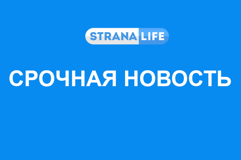 Смертник взорвал 14 человек в Камеруне
