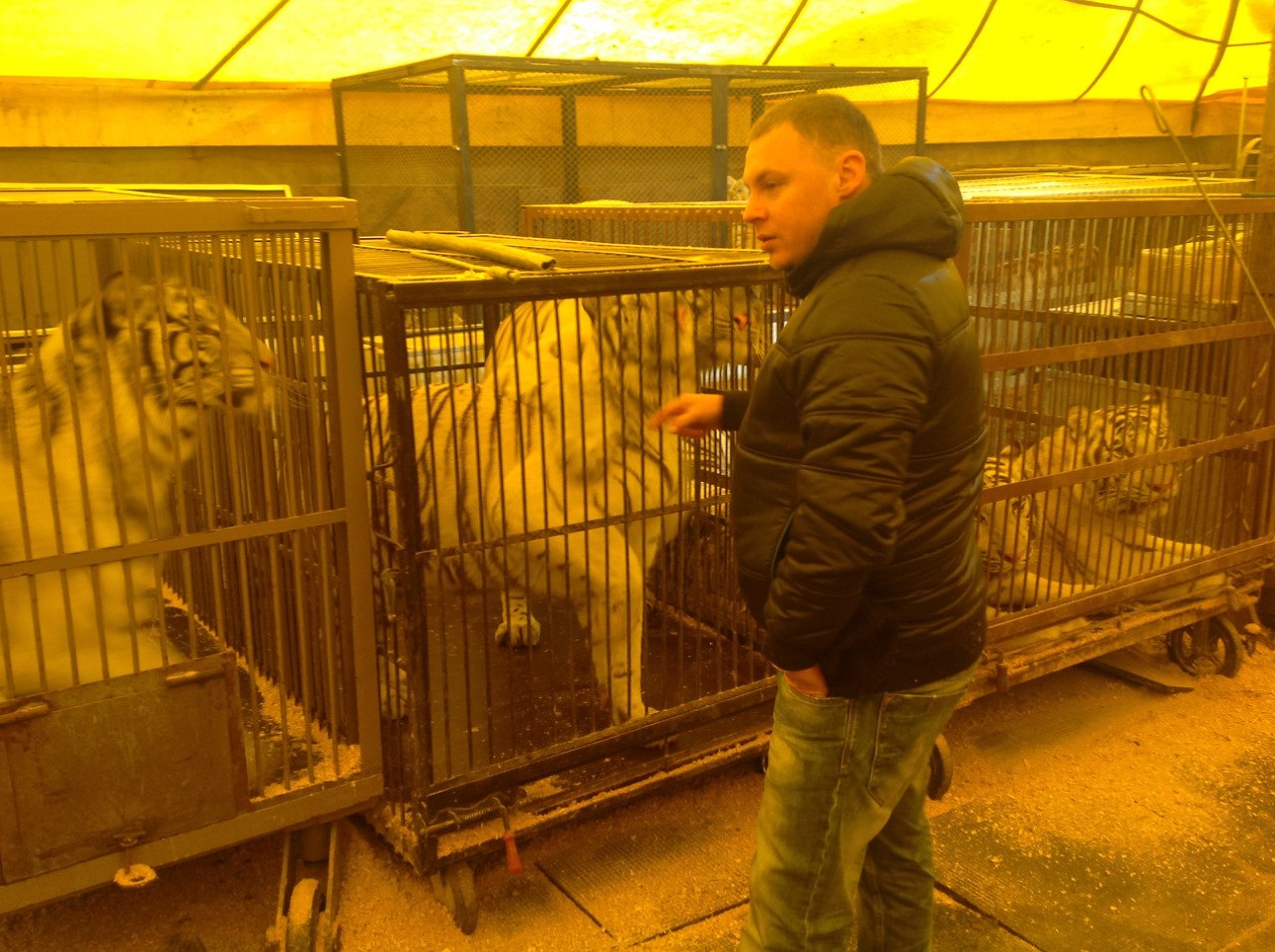 Гастроли цирка в Татарстане отменили, хотя глава города пошел навстречу. Полиция угрожает директору возбуждением уголовного дела...