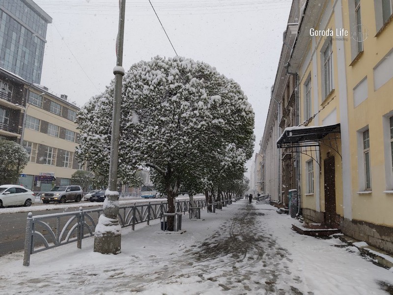Снегом покрыто 80% России: когда зимняя погода дойдет до Москвы | Гидрометцентр: снегом покрыто 80% территории России