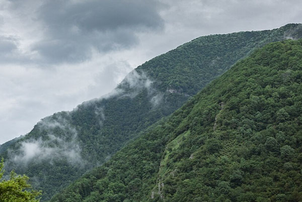 МЧС Абхазии: российская туристка умерла в Гагре, сорвавшись со скалы | Российская туристка погибла в Абхазии, упав с крутого склона у дороги