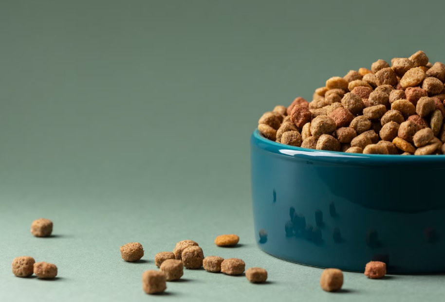 Россияне сократили траты на домашних животных на 19–26%