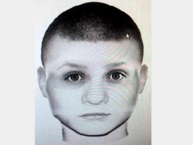 Похититель кенгурят: кто и зачем украл три детеныша из российских зоопарков | Появился фоторобот возможного похитителя кенгурят из российских зоопарков