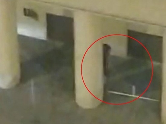 У стрелка Манюрова с Лубянки нашли символику "пропутинского движения"