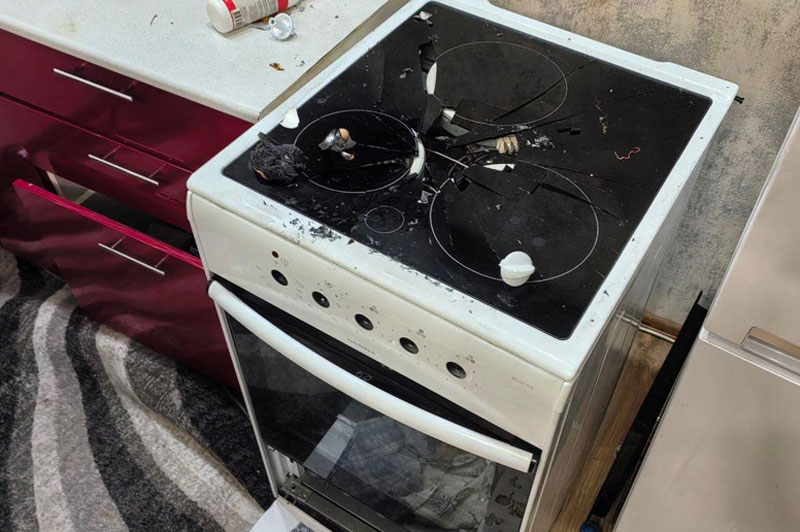 В Новосибирске собака случайно вызвала взрыв в квартире: МЧС объяснило причины инцидента | Собака в Новосибирске устроила взрыв дома из-за баллончика с дихлофосом