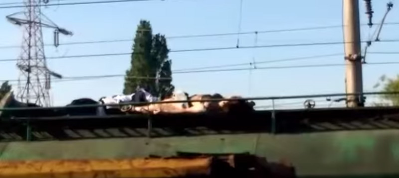 Адское селфи. Девушка погибла от удара током, решив сделать необычное фото на крыше вагона