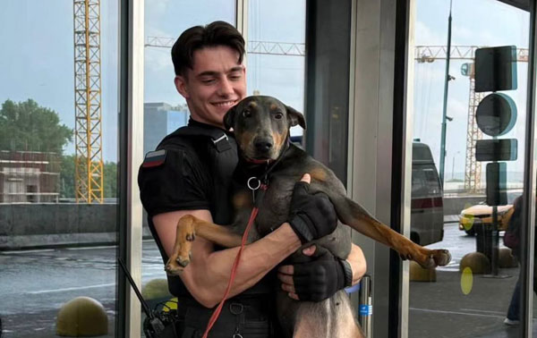 Игнатий - новый секс-символ аэропорта «Внуково»: как обычный охранник стал звездой соцсетей и сердец миллионов. Видео | 23-летний охранник из аэропорта «Внуково» - новая звезда, покоряющая сердца и соцсети