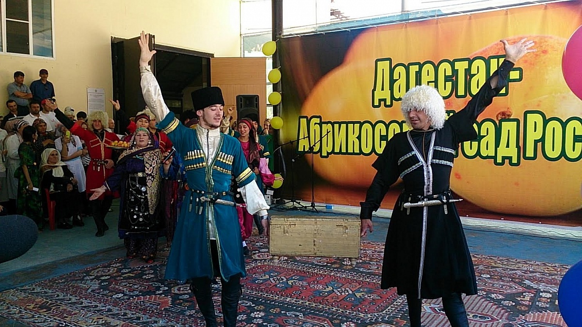 В Дагестане прошел первый фестиваль абрикоса