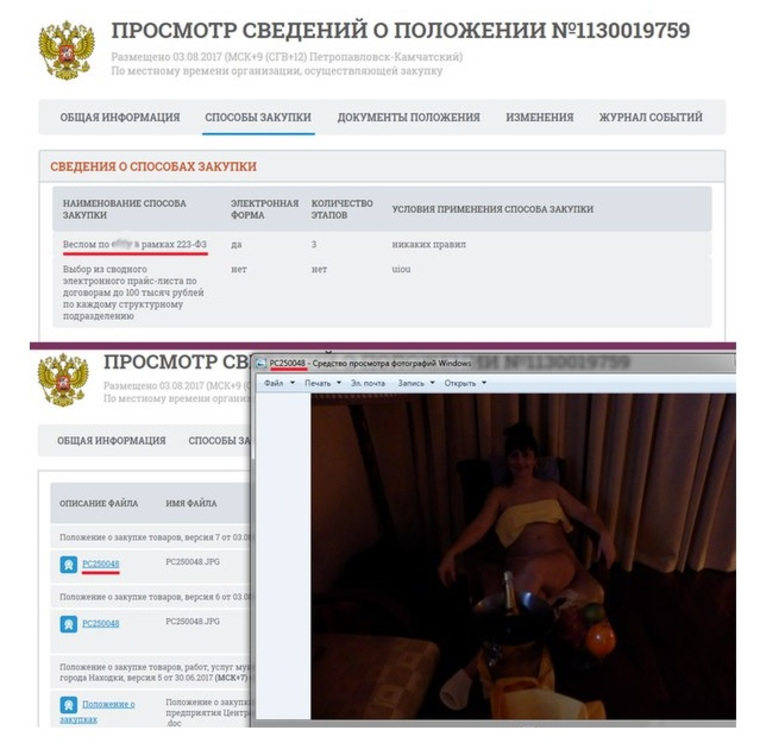 На сайте госзакупок обнаружились мат и обнаженные женщины. СКРИН