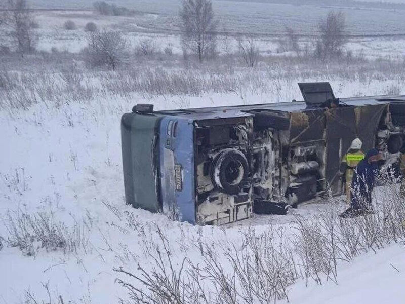 В Тульской области пассажирский автобус опрокинулся в кювет, пострадали десять человек | В Тульской области автобус с туристами опрокинулся в кювет, есть пострадавшие