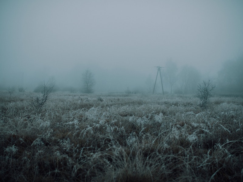 Рекордные заморозки в Подмосковье: Можайск и Клин обновили температурные минимумы | Синоптики зафиксировали в Подмосковье рекордны заморозки