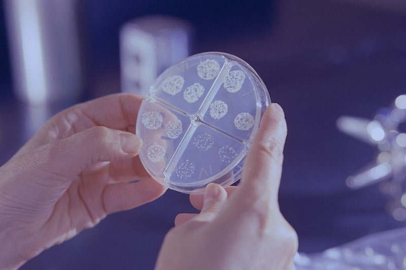 Найдена замена антибактериальным средствам и антибиотикам | Small: ученые придумали, как бороться с бактериями с помощью меди