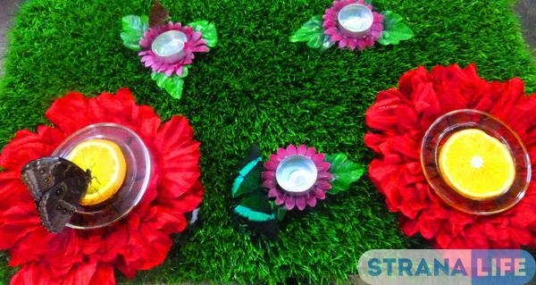 Жители планеты встречают «Час Земли»