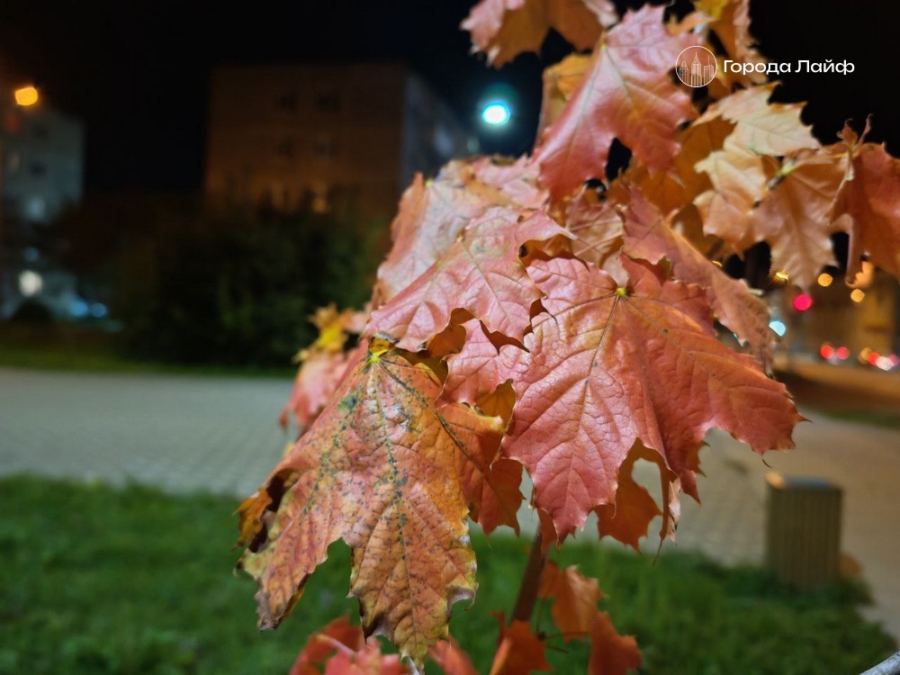 Михайлов день 2025: запреты и приметы 19 сентября | Что нельзя делать 19 сентября в Михайлов день: запреты и народные приметы