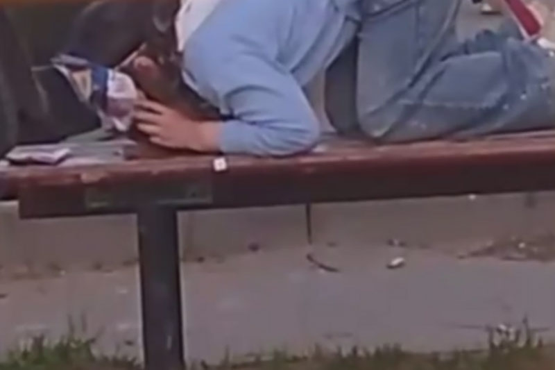 В Кстово девушка-квадробер в маске кошки съела корм со скамейки на улице | Нижегородская девушка-квадробер съела кошачий корм с лавки на улице