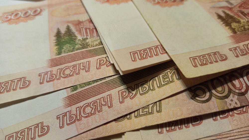 «Гробовые деньги» — депутат Госдумы оценил расходование резервов России