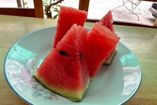 Эколог Рыбальченко исключил возможность проверить арбуз на нитраты без прибора | Назван единственный способ проверить арбуз на наличие нитратов