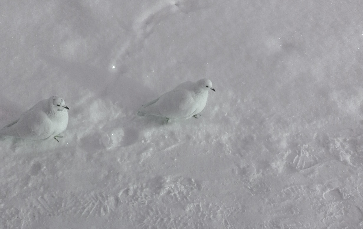 Готовимся к будням: как не впасть в депрессию после праздников?