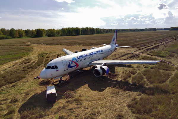 Росавиация попросила уволить директоров Ural Airlines из-за посадки борта в поле | Росавиация предложила уволить руководство «Уральских авиалиний»