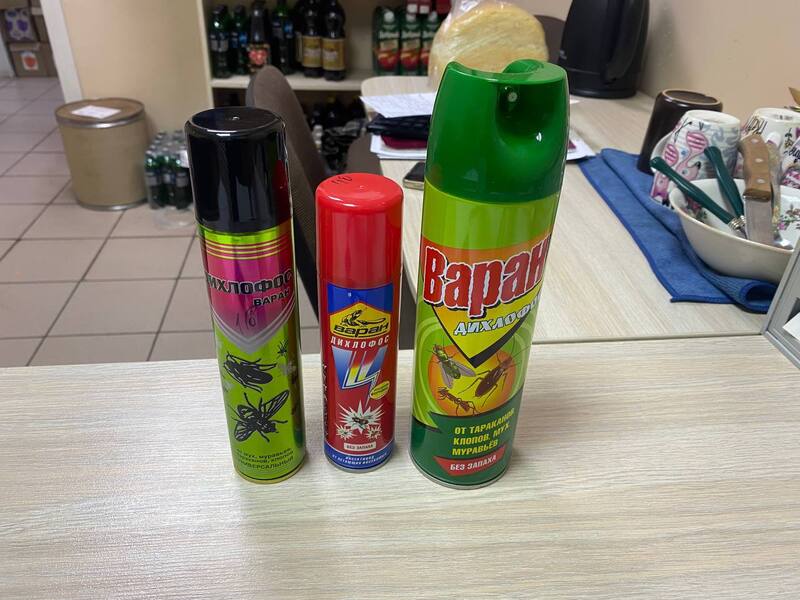 Результаты экспертизы: на посуде отравившейся под Красноярском семьи нашли инсектицид | На посуде в доме семьи под Красноярском, где погибли дети, нашли инсектицидное средство