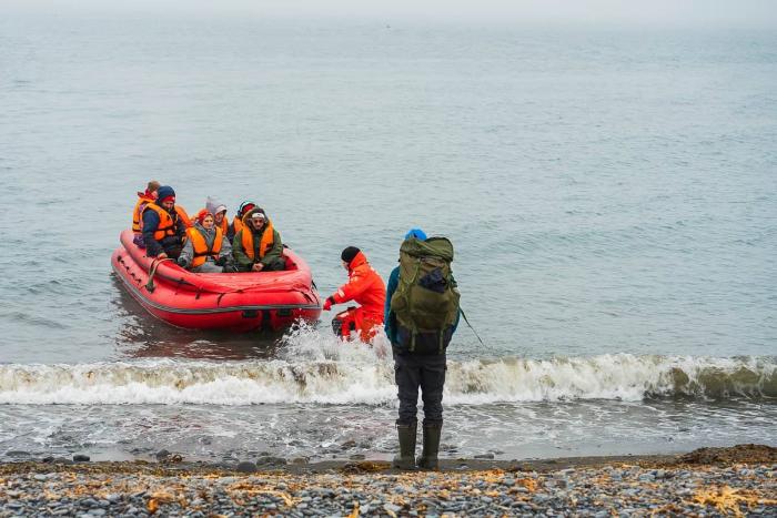 Российские ученые нашли кладбище китов в Арктике: находка может изменить представление о климате | В Арктике нашли скопление останков китов и тюленей доиндустриальной эпохи