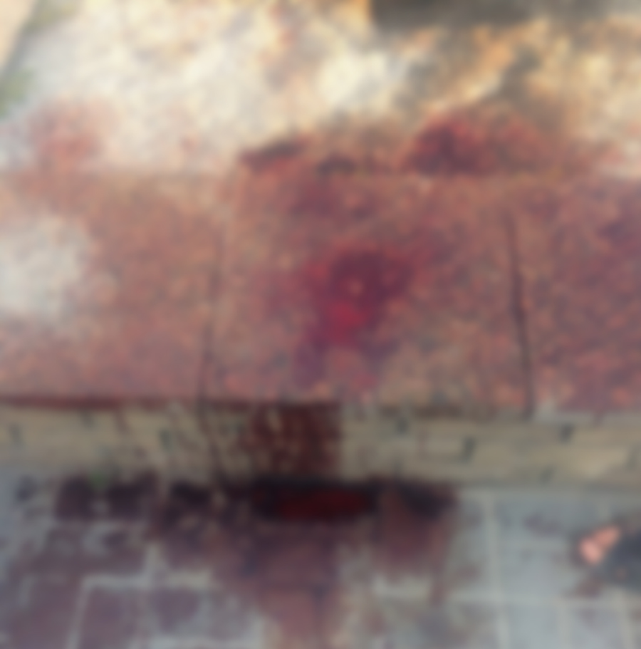 Жестокая расправа над молодым мужчиной произошла в центре Ростова