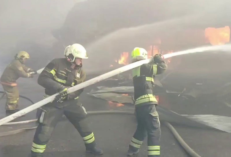 Трагедия в волгоградском приюте для животных: около 30 собак погибли в огне | Около 30 собак сгорели при пожаре в частном приюте в Волгограде