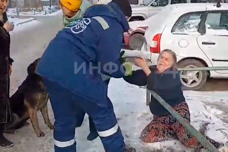 «Не забирайте Найду!»: как пенсионерка пыталась спасти собаку от отлова в Красноярске | В Красноярске пенсионерка пыталась остановить отлов мирной собаки Найды