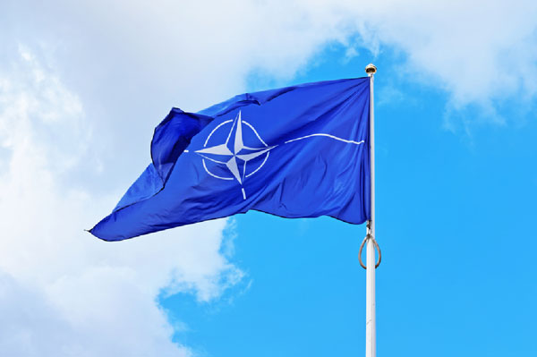 The Times заподозрила Трампа в способности распустить НАТО уже на этой неделе | Президент США Дональд Трамп может распустить НАТО в любой момент