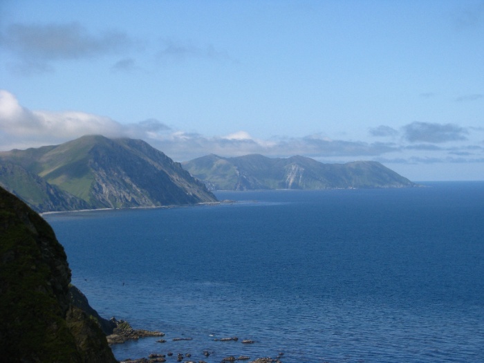 «Не дружит с головой»: в России высмеяли идею США купить Командорские острова | В Совфеде отреагировали на предложение США купить Командорские острова