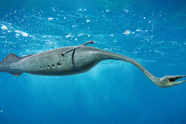 Загадка для биологов: Почему странного зверя по прозвищу Тулли не удаётся классифицировать