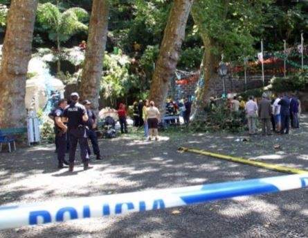 Более 10 человек погибли при падении дерева на Мадейре