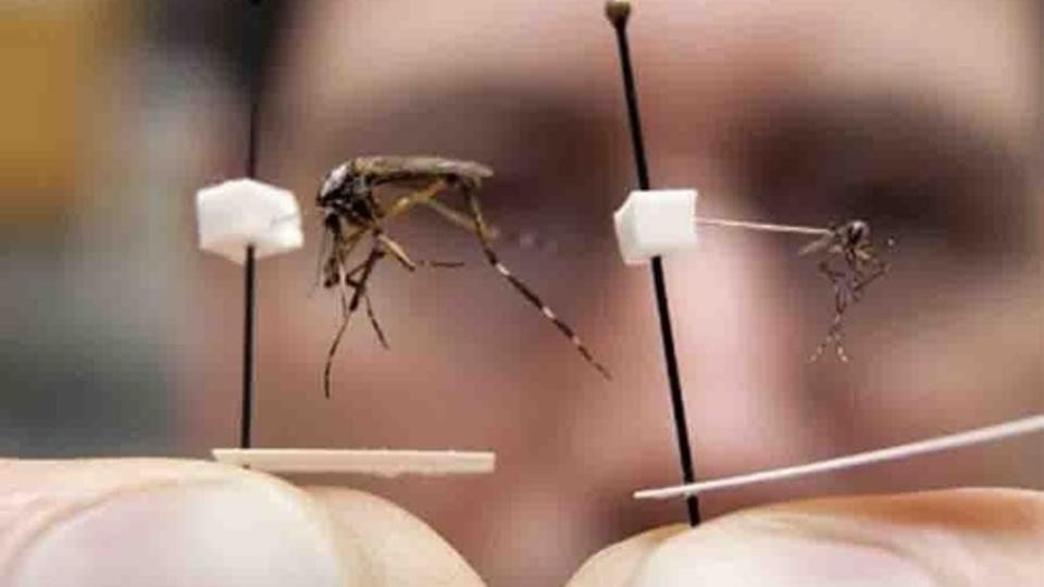 В Китае распространяется очередной смертельный вирус