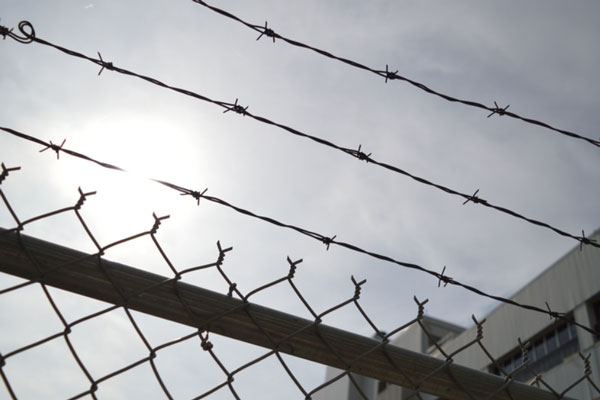 Почти половина россиян выступили за возвращение смертной казни | ВЦИОМ: почти половина россиян за возвращение смертной казни