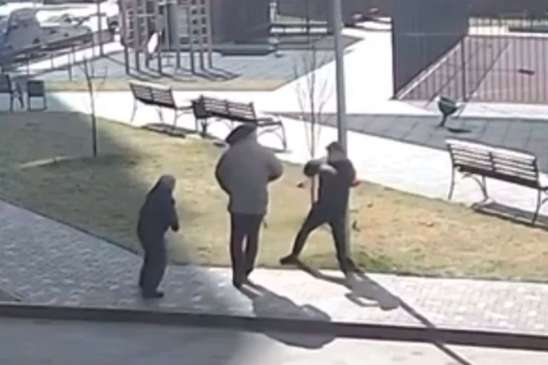 В Воронеже мужчина избил 26-летнего парня за выгул собаки около детской площадки | В Воронеже парня избили за прогулку с собакой