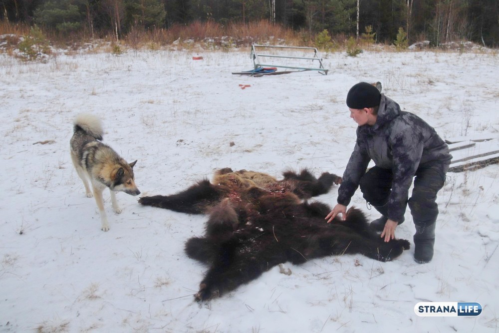Большие трудности малого народа: как живет «горстка» манси на Северном Урале? ФОТО, ВИДЕО, АУДИО