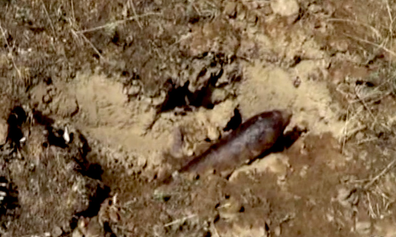 В Оренбургской области саперами ОМОН уничтожен артиллерийский снаряд