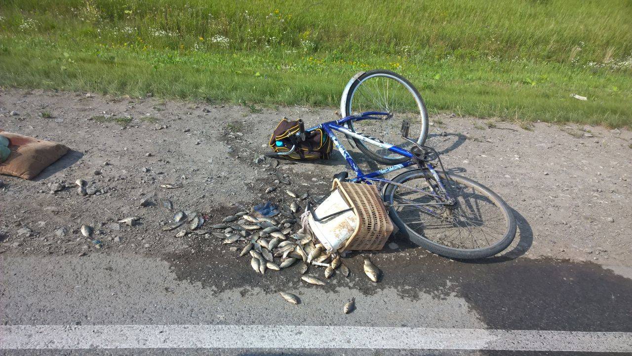 На трассе Екатеринбург - Тюмень грузовик снес велосипедиста