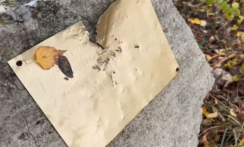 Юрист объяснил, почему устное увольнение Жидкова не имеет юридической силы | Жидков может подать в суд на губернатора Самарской области за мат