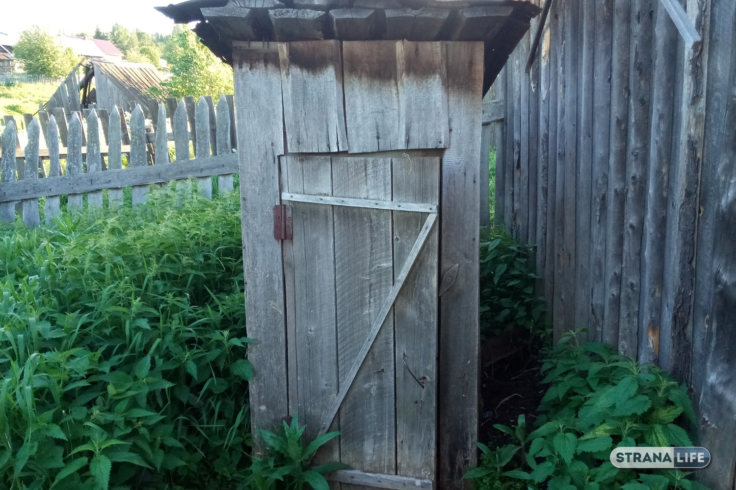 В Узбекистане три человека погибли, пока доставали из туалета чужой телефон