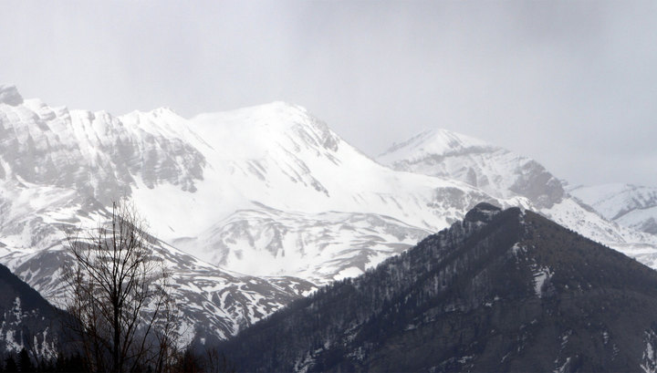 В тающих льдах Альп стали находить десятками тела давно пропавших людей