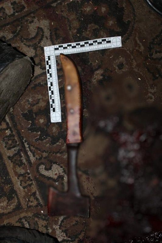 В Башкирии пенсионер убил свою возлюбленную из-за взаимных претензий