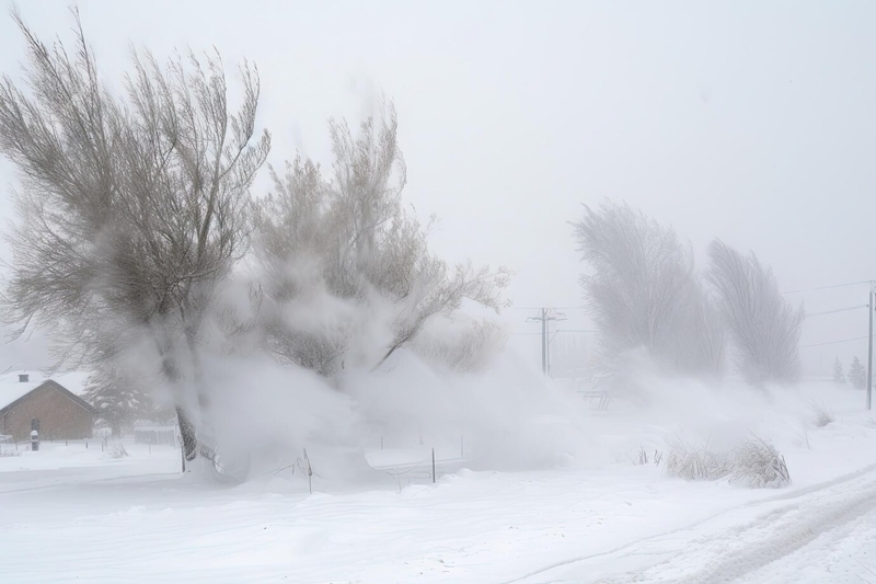 В шести регионах России произойдут опасные явления из-за тёплой погоды | Синоптик Вильфанд предупредил жителей шести регионов России об опасных явлениях