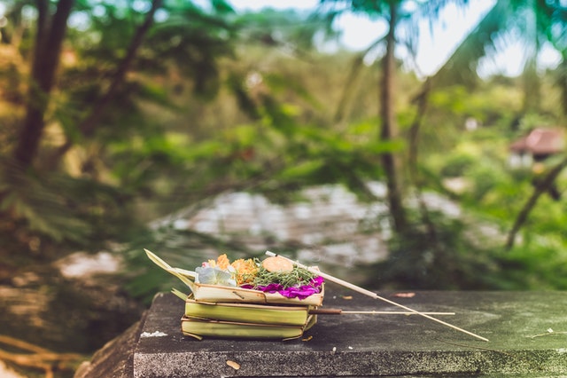 На Бали начался массовый голод