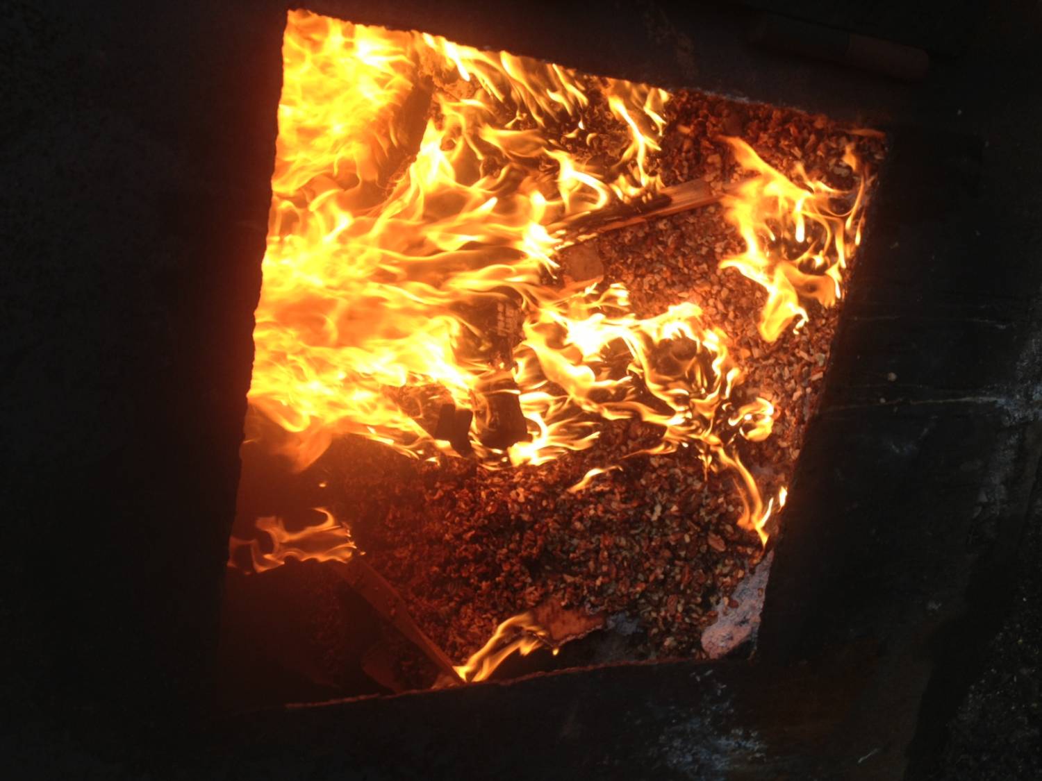 На Среднем Урале уничтожено 60 кг грецкого ореха неизвестного происхождения