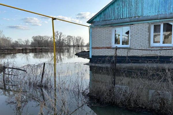 Мэр Орска: мошенники обещают по 5 тыс. рублей пострадавшим от наводнения | Мэр Орска сообщил о мошенниках, обещающих выплаты от его имени