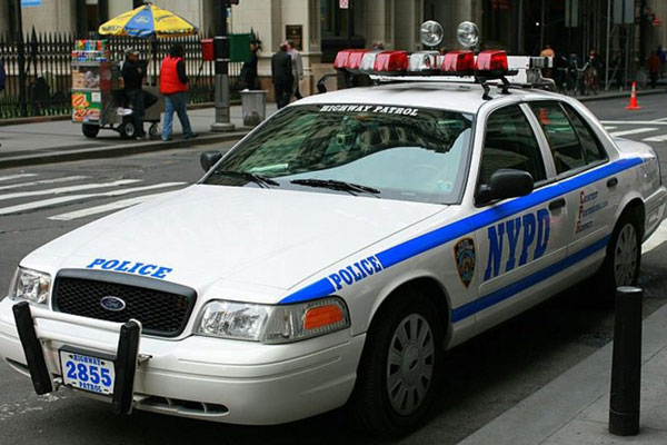 Школьница нашла человеческую руку по дороге на занятия