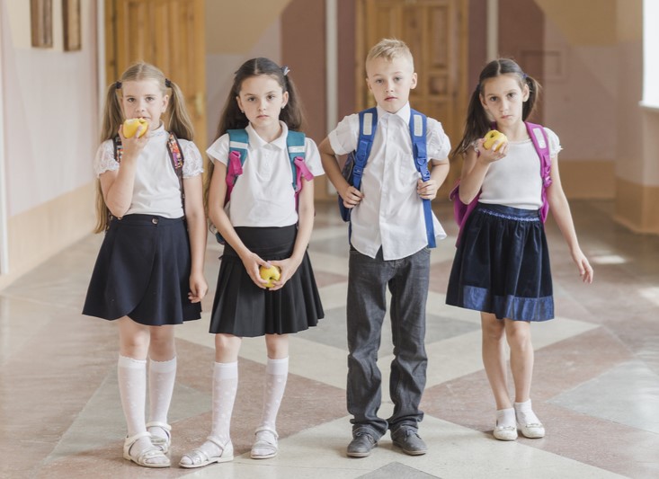 Сборы в школу подорожали на 5%: «школьный набор» обойдётся в 16,5–18,6 тысяч рублей | Собрать ребенка в школу в 2025-м стало дороже на тысячи рублей