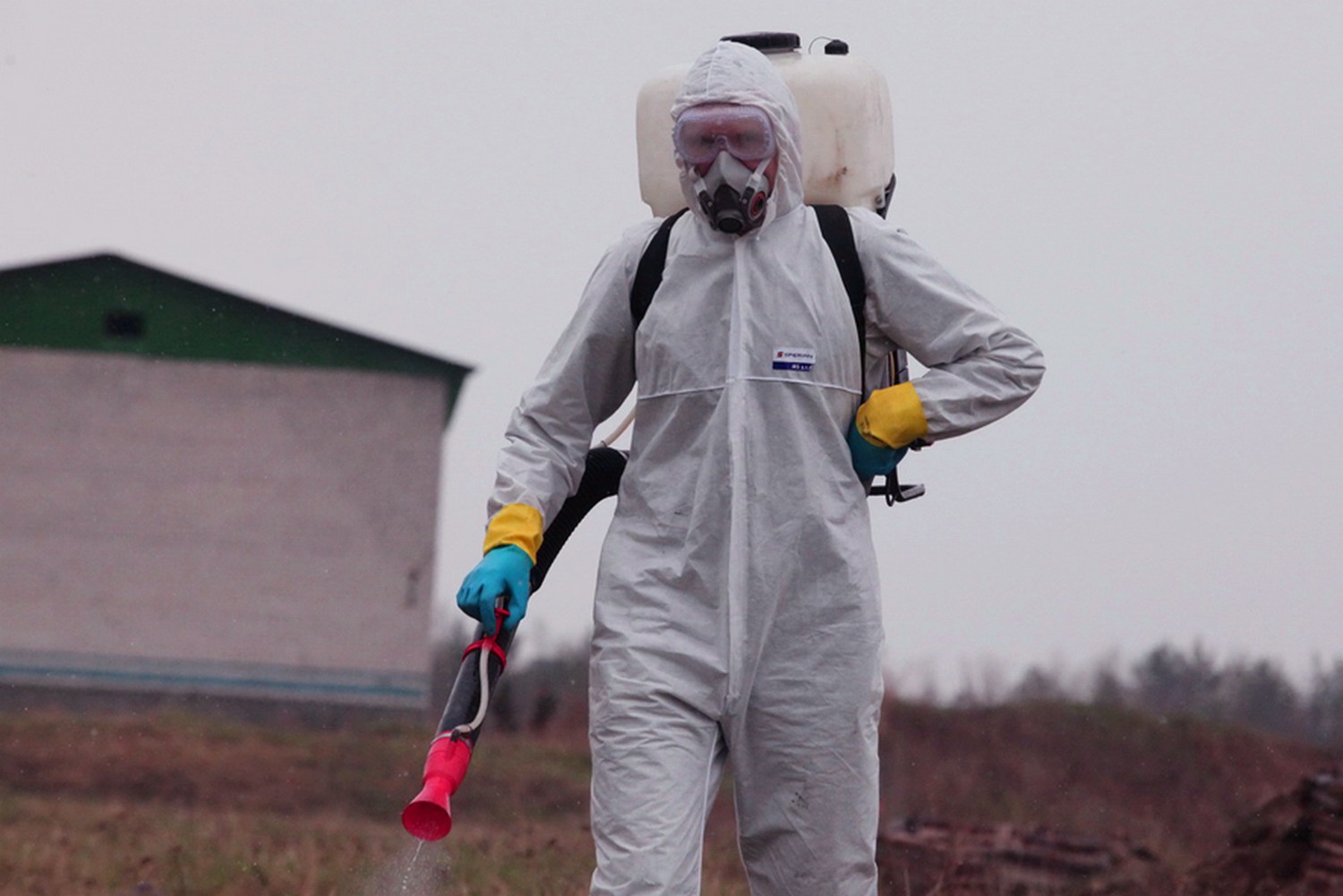 Названы регионы России, особо опасные из-за клещевого энцефалита