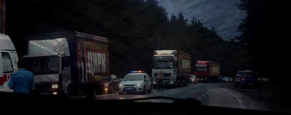 На Среднем Урале из-за рожающей медведицы Тани на одной из трасс образовалась пробка